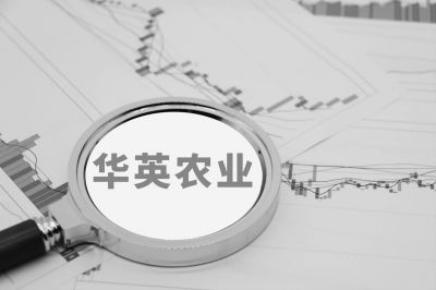 中國經營報數字報刊平臺